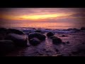 mentahan video no copyright sunset