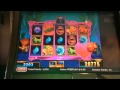 ★ MY BIGGEST WIN ON GOLDFISH RACE FOR GOLD! Slot Machine Bonus Win Vegas 2015! (DProxima)