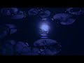 【自然の音】スイレン池の水面に映る月 / Nature Sounds - The Moon Reflected on the Surface of the Water Lily Pond