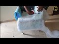 SEE HOW I TRANSFORMED A PLASTIC CHAIR INTO AN ACCENT CHAIR /DIY CHAIR ON BUDGET