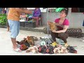 Harvesting Big-Footed Chicken Goes To Market Sell - Buy chicks to raise | Ly Tieu Toan