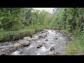 Suara ALIRAN SUNGAI yg bikin rilex #alamindah #nature #indah #jember#fypシ #river #rilex#relaxation