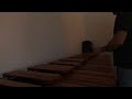 The Devil Went Down to Georgia - Devil and Johnny's solos - on Marimba.