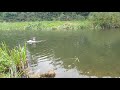 Homemade RC Airboat