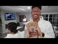 BRINGING HOME OUR NEW PUPPY!! PUPPY REVEAL