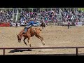Some Nice Buckin at the Belt MT Rodeo June 2024