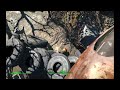 Fallout 4 Robotics Disposal Ground