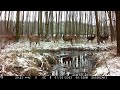 My first trailcam footage. Deer herd.