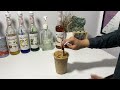 Cafe Vlog EP.1419 | Iced Caffe Caramel Latte | Coffee caramel | Medium size