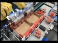 Cherry tomatoes packing line