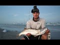 Surf Fishing is insane when you do this - the fish are running the beach!