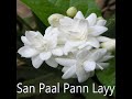 San Paal Paan Layy