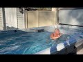 Glenview, IL: Endless Pools® E2000 Swim Spa Video Tour