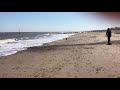 2nd video of Bella having fun at the beach at Hornsea