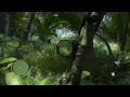 Far Cry 3: Hiding in the bushes