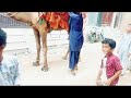 camel Ride video by kids (aj Gali me aya camel