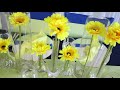 SUMMER THEME PARTY | BLUE AND YELLOW TABLESCAPE DECOR. SETUP WITH ME