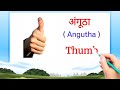 Human Body Parts Name Hindi & English with Pictures | शरीर के अंग | Name of Body Parts