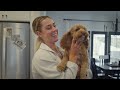 A Day in the Life of Brooke Wells, 8x CrossFit Games Athlete | Ice Barrel