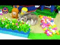 ASMR DIY How To Build Beautiful Villa House For My Hamster from Magentic Balls