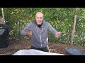 Easy, No-Turn Compost That ANYONE Can Make (Part 2 of 2)