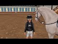 Buying NEW Dutch Warmbloods | Star Stable