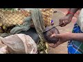 Juicy Palm Fruit (Nungu) with Pathaneer Mix | Kutralam Special Juice (40 Rs)