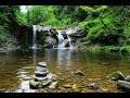 Crystal Clear Waterfall Sounds | Relaxing Nature Music for Stress Relief