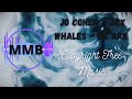 Jo Cohen & Sex Whales - We Are [MMB of the best]