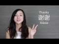 Basic Chinese Greetings: Hello, Thank You, and Goodbye - TalktoChinese