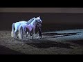 Liberty with 3 horses - Sylvia Zerbini - Night of the Horse 2016 - Del Mar National Horse Show