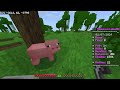 Playing in Cheesecake SMP!