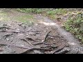 ASMR - Kinnie Brook Trail - Fundy National Park.