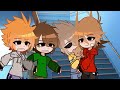 High school//Tordtom//Eddsworld