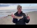 beach fishing, Prestatyn, numerous sessions, bass, flounder, smoothhound & dogfish