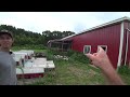 LIVE Tour: Joe's Farm [Pastured Poultry]