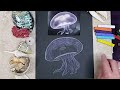 How to Draw a Realistic Jellyfish with Pastel Pencils.