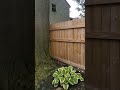 Video of fence being sealed
