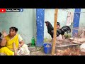 Galiff Street Pet Market//Kolkata pet market//Tuhin's Timeline
