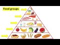 5 food groups & food group pyramid 🍅🍌| What should you eat?