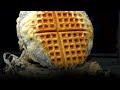 Waffle Maker - Will it Waffle?