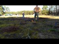 Rod Will watches a shortleaf pine burn