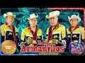 Los Armadillos de la sierra // Corridos y Rancheras Mix // 30 Exitos Inmortales // Puras Chingonas