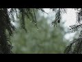 Calming and Relaxing Raindrops sounds for 2 hours.