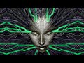 Shodan - Ambient Jungle