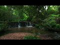 【4K】Walking Alone in a Enchanted Forest with a Beautiful Waterfall | Forest Ambience Sounds ASMR