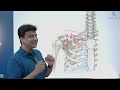 Solve ‘FMGE SOLUTIONS’ with Dr.Azam | Anatomy (Que.1-10)