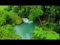 Relaxing Music To Relieve Stress 🌿 From Anxiety, Depression • Healing Of Mind And Body