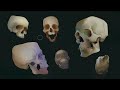 Anatomy Quick Tips: Skulls