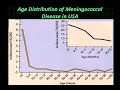 GRAM NEGATIVE COCCI